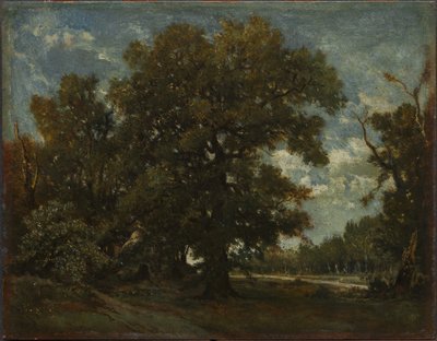 The Oak Tree by imitator of Théodore Rousseau