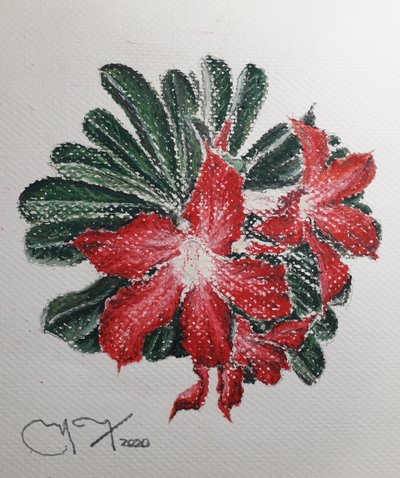 Desert Flower by miguelmendez_art.ve