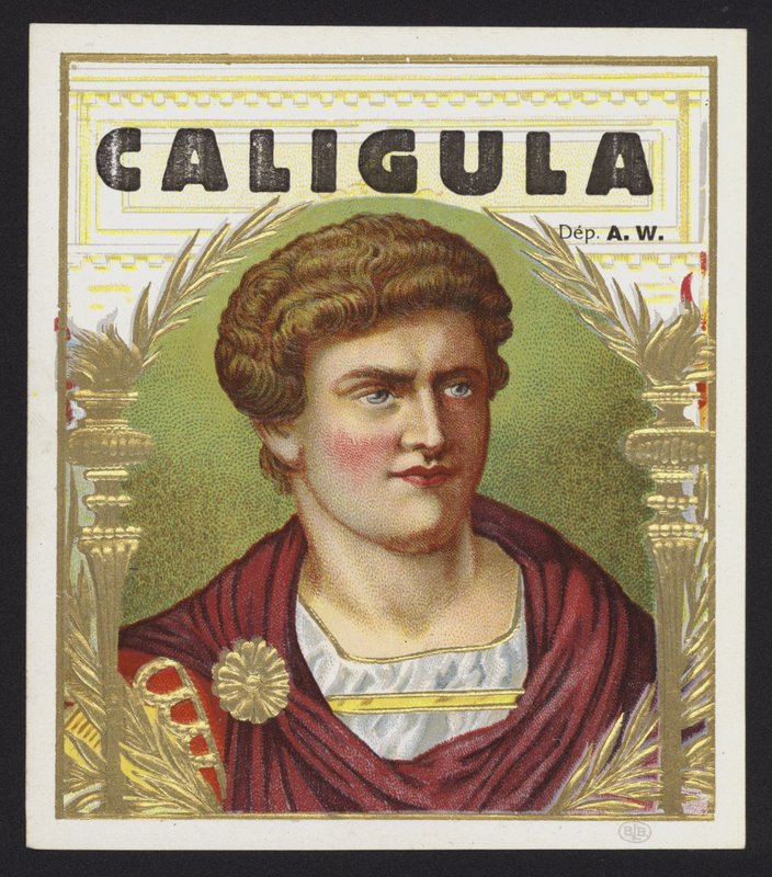 Caligula by American School