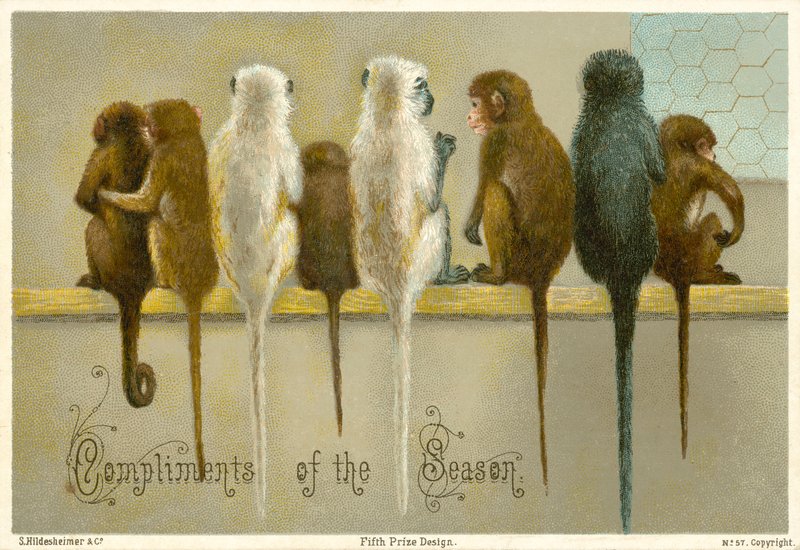 Greetings Card by American School