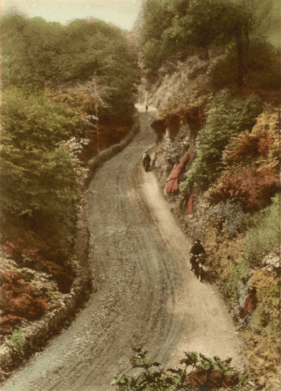 Lynton Hill by English Photographer