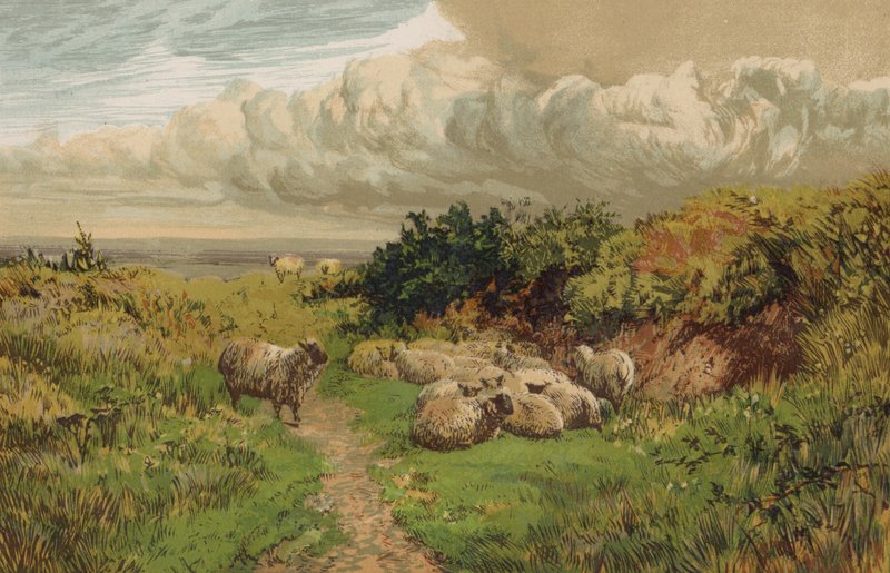 An English Pastoral by English School