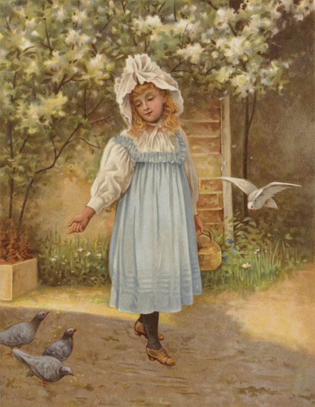 Innocence by English School