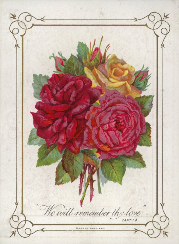Posy of Flowers by English School