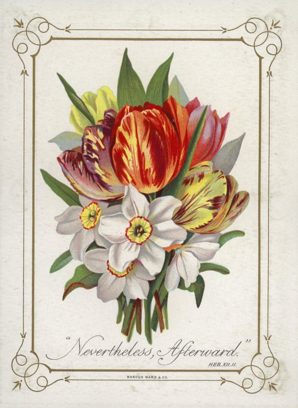 Posy of Flowers by English School