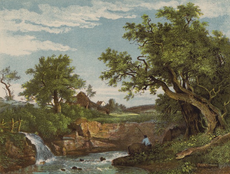The Angler