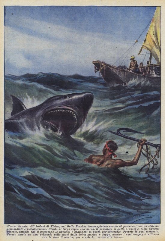 Living bait by Achille Beltrame