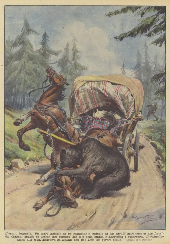 The bear brigand by Achille Beltrame