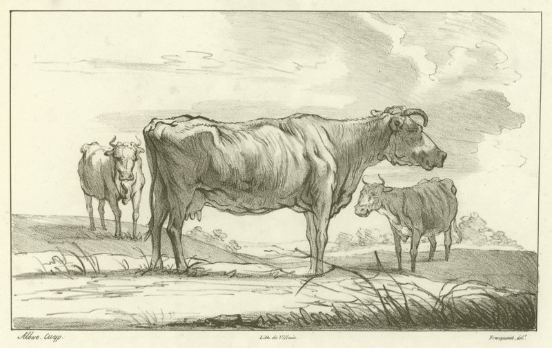 Three Cows by Aelbert Cuyp