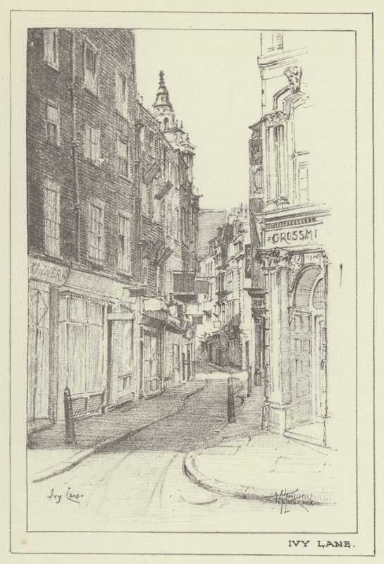 Ivy Lane by Alan Stapleton