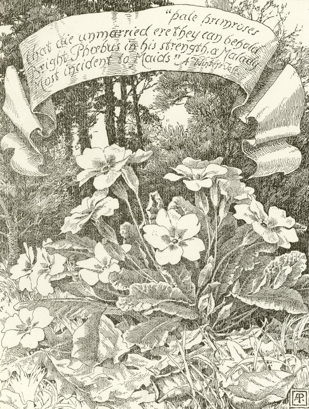 Pale Primroses by Alfred Parsons
