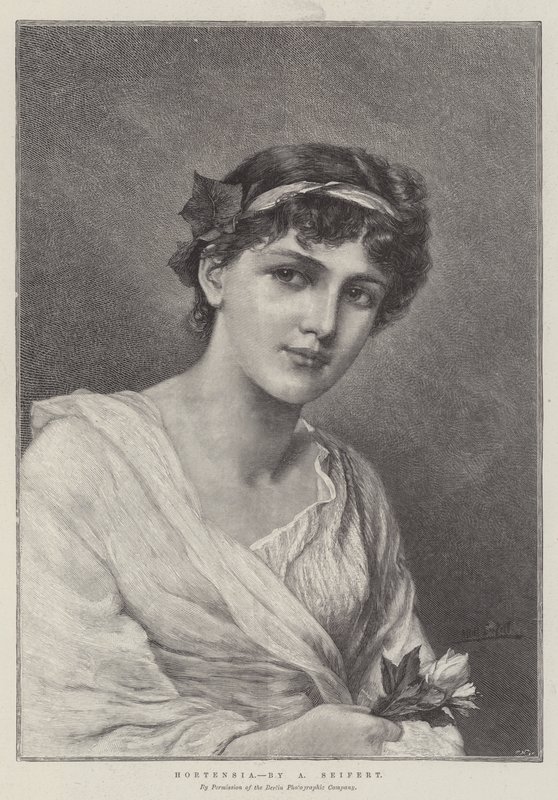 Hortensia by Alfred Seifert