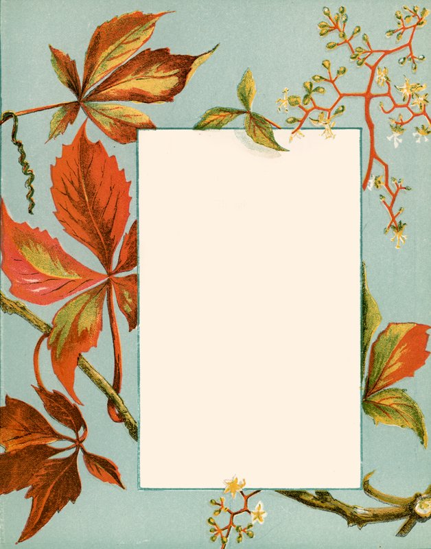 October by Alicia Amy Leith