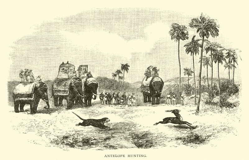 Antelope Hunting by American School