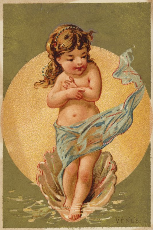 Child Venus by American School