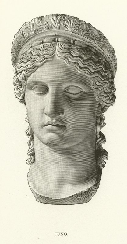 Juno by American School