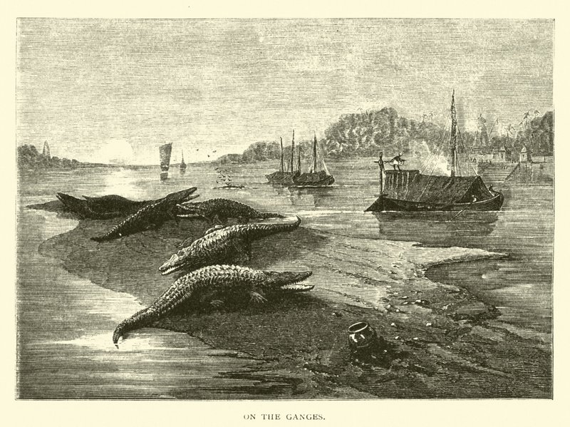 On the Ganges by American School