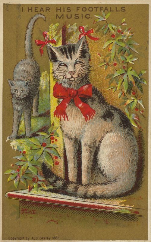 Proud Smiling Cat by American School