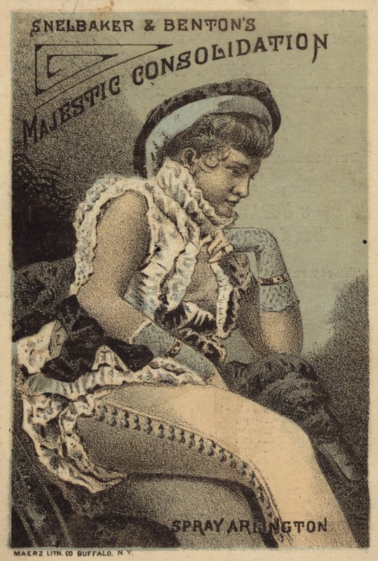 Seductive Lady by American School