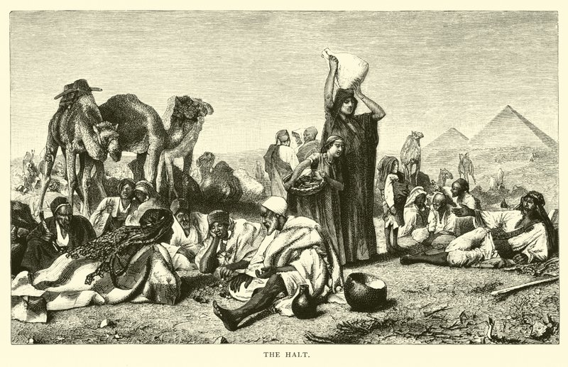 The Halt by American School