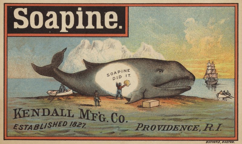 Washing the Whale by American School