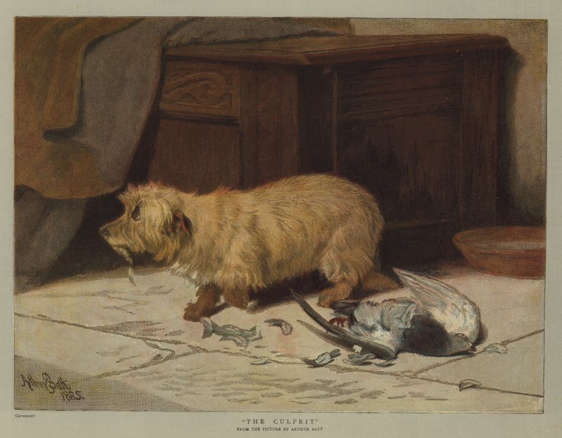 The Culprit by Arthur Batt
