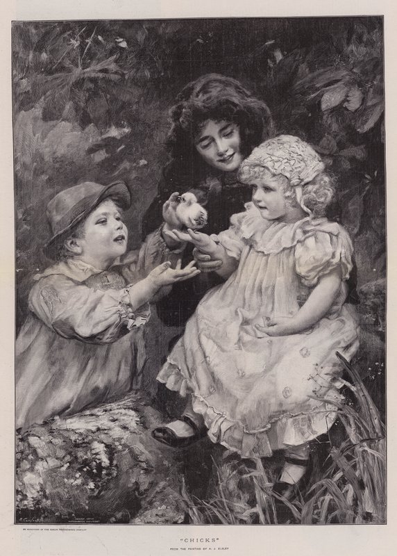 Chicks by Arthur John Elsley