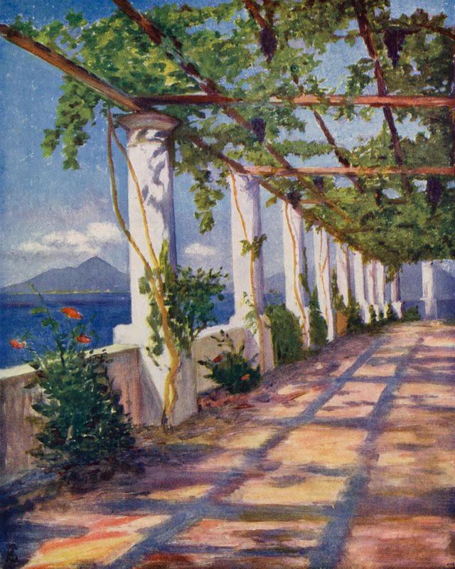 Pergola by Augustine Fitzgerald