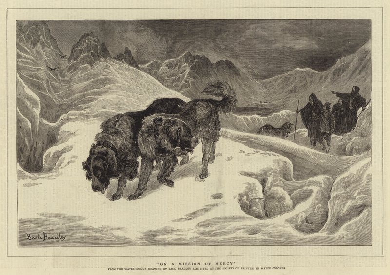 On a Mission of Mercy by Basil Bradley
