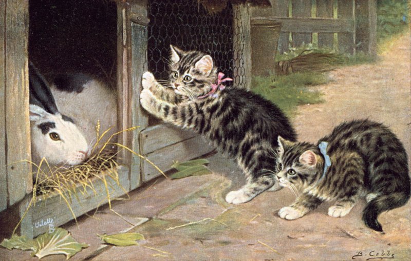 Cat postcard by Bernard Cobbe