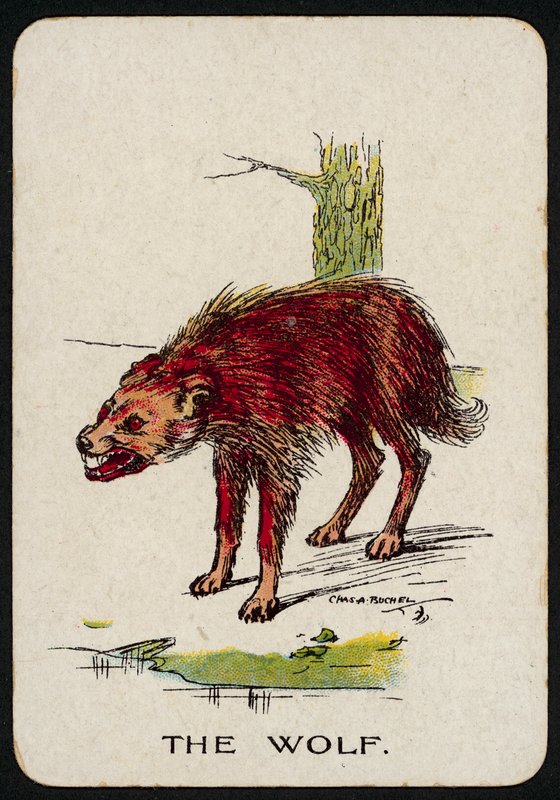 The Wolf by Charles A. Buchel