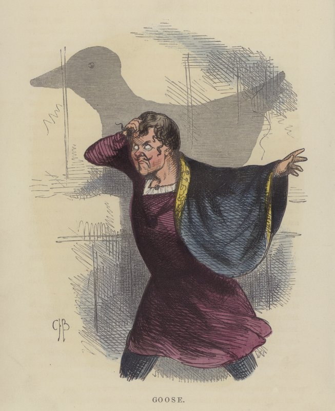 Goose by Charles Henry Bennett