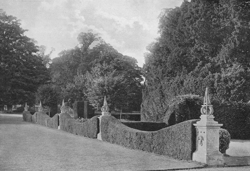 Divisions of Yew by Charles Latham