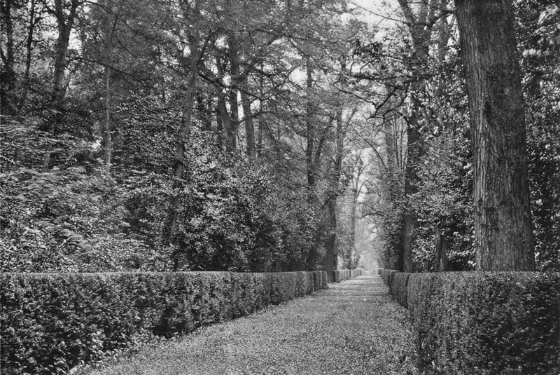 The Dog Walk by Charles Latham