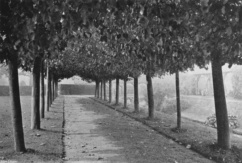 The Pleached Walk by Charles Latham