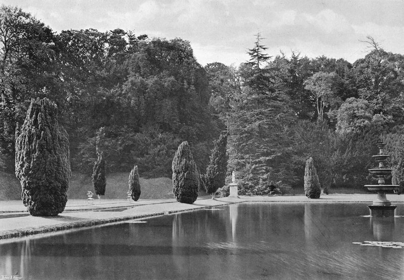 The Shadow of a Yew by Charles Latham