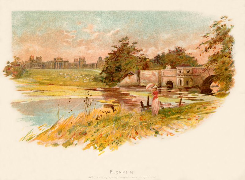 Blenheim by Charles Wilkinson