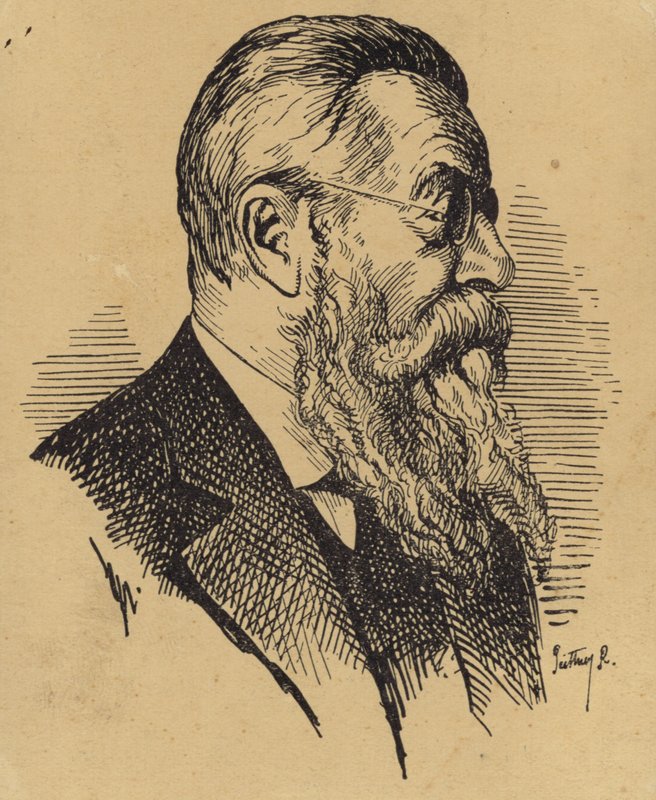 Portrait of Otakar Sevcik by Czech School