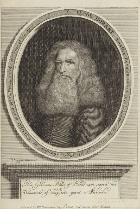 Jacob Bobart by David Loggan