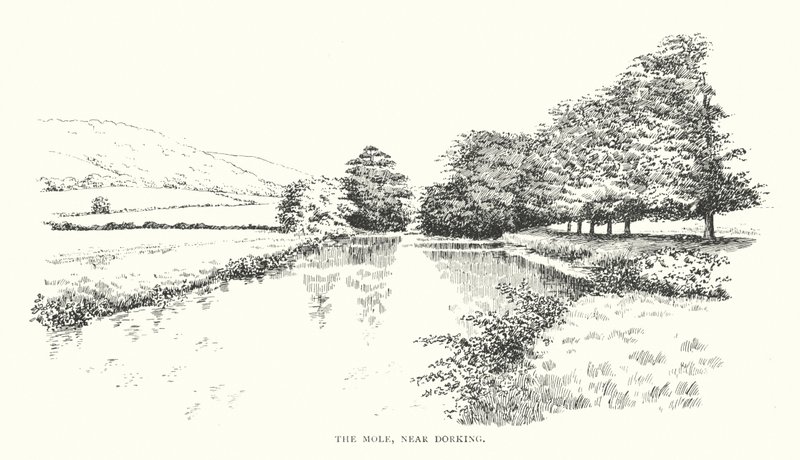 The Mole, near Dorking by Duncan Moul