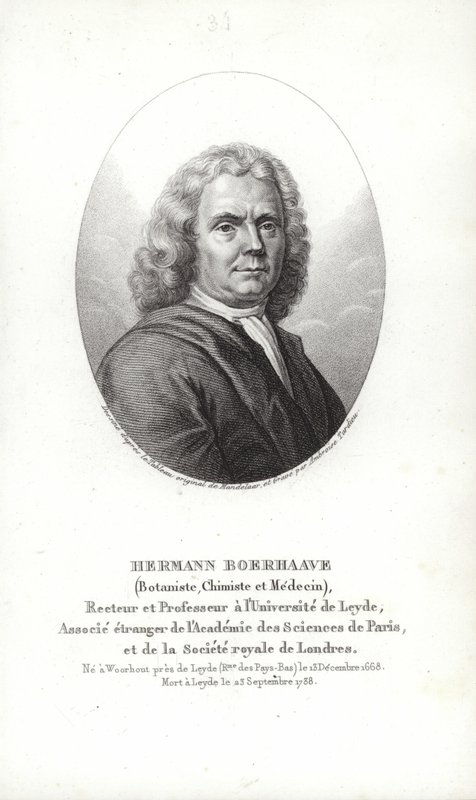 Herman Boerhaave by Dutch School