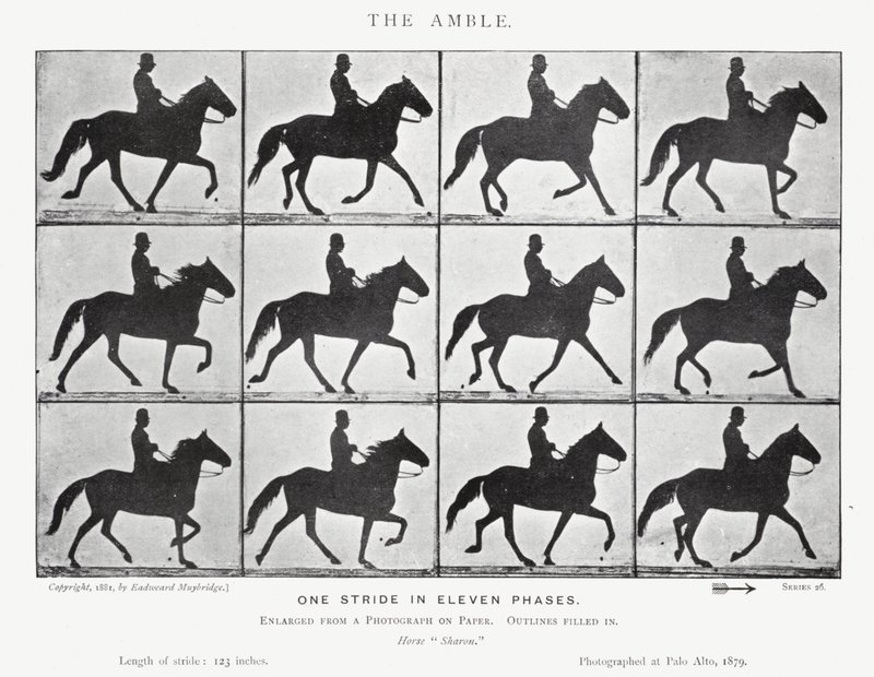 The Amble by Eadweard Muybridge