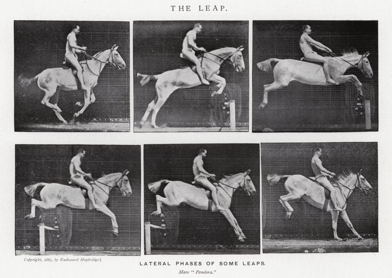 The Leap by Eadweard Muybridge