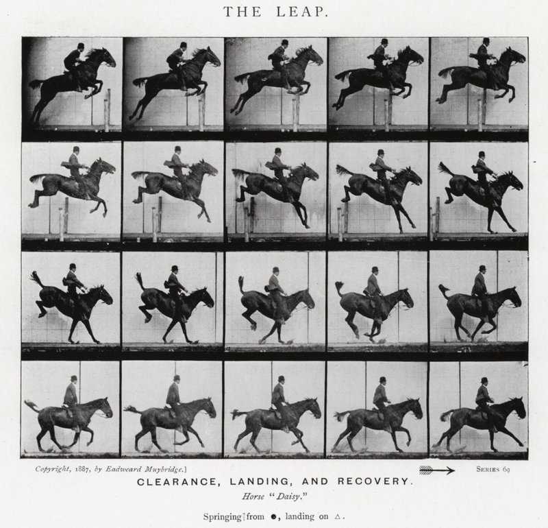 The Leap by Eadweard Muybridge