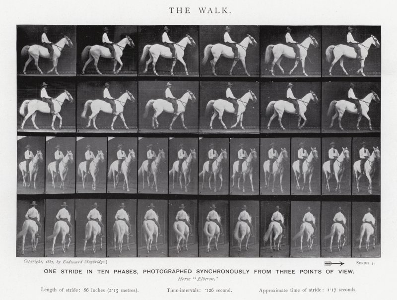 The Walk by Eadweard Muybridge