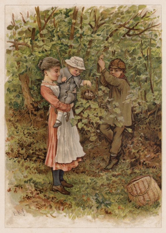 Flapsy and Pecksy by Edward Killingworth Johnson