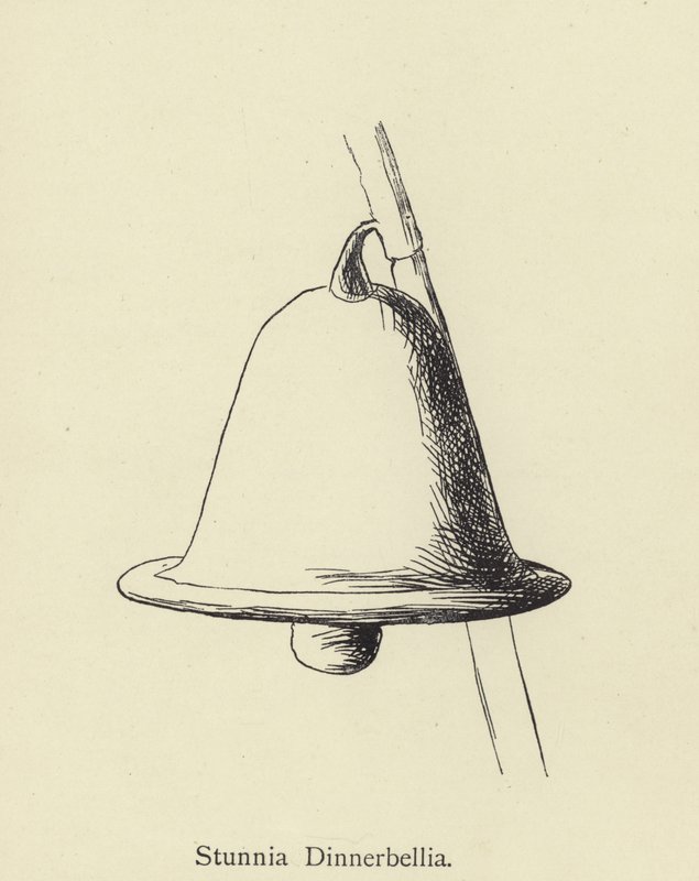 Stunnia Dinnerbellia by Edward Lear