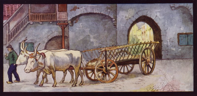 Draught Oxen in Spain by Edwin Noble