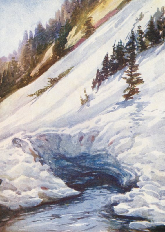 Switzerland by Effie Jardine