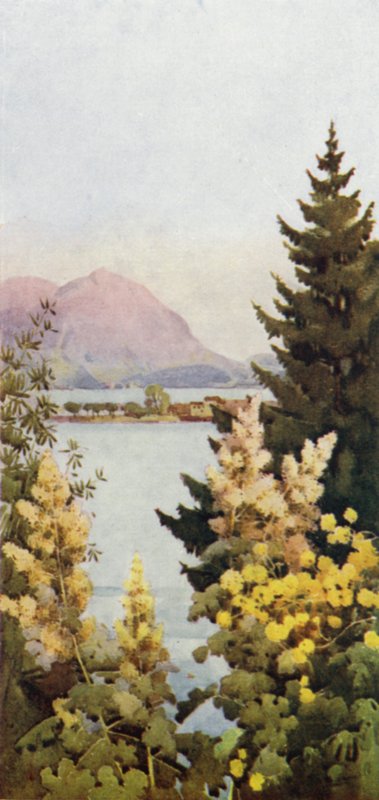 A Garden by Ella Du Cane
